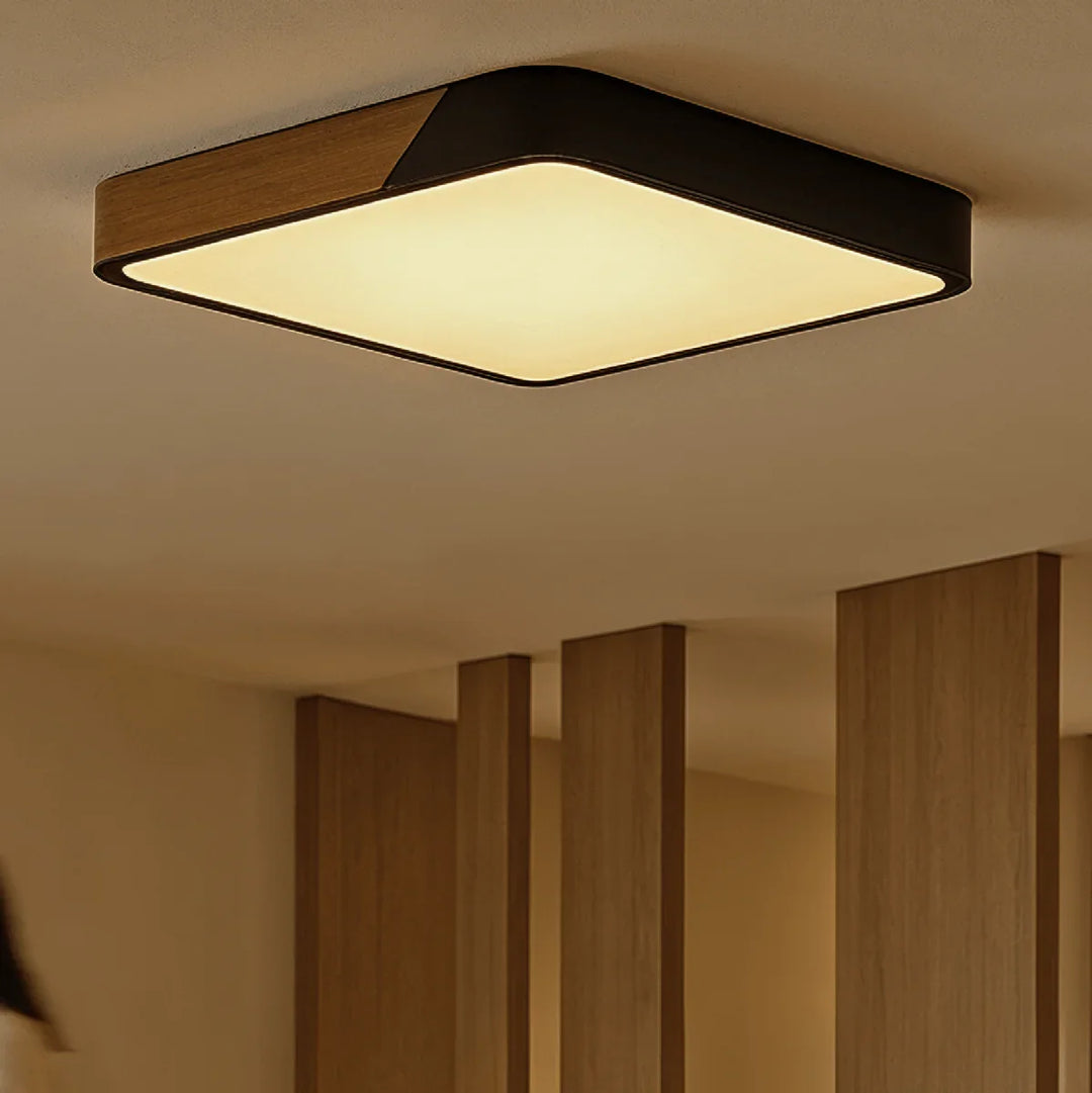 Slim LED Flush Ceiling Light