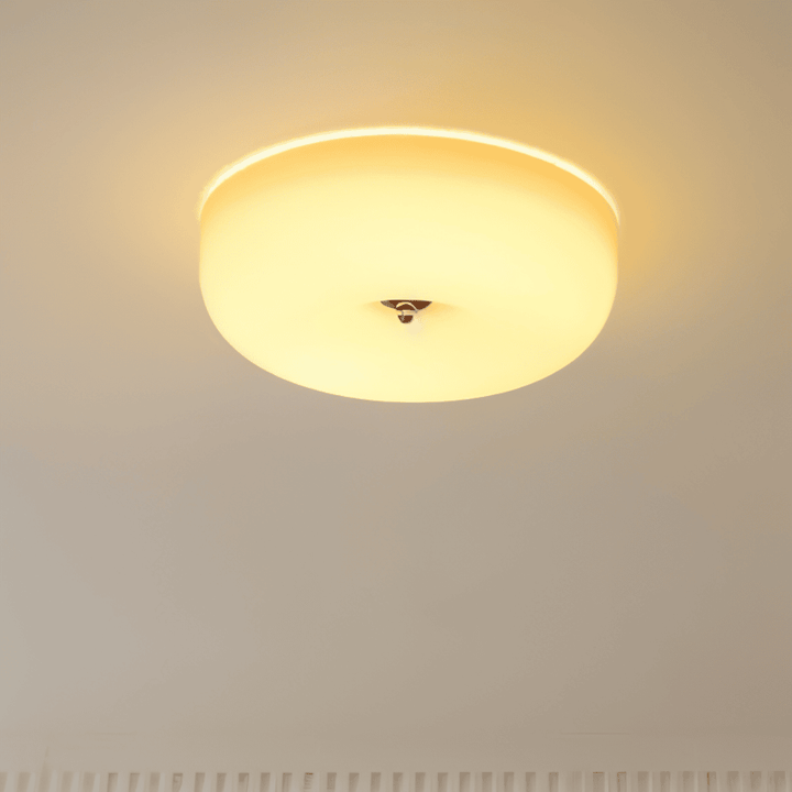 Donut glass ceiling light