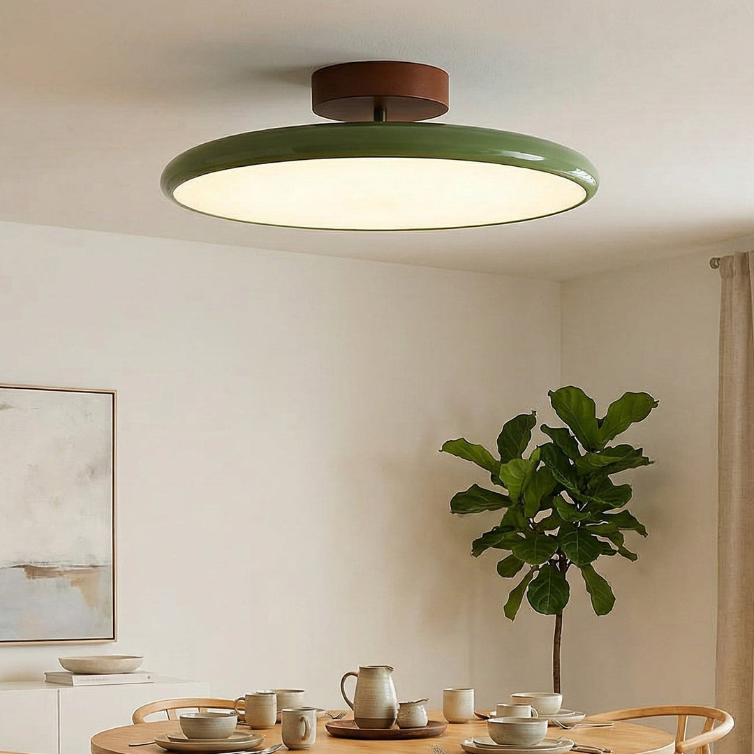 Drift Adjustable Ceiling Light