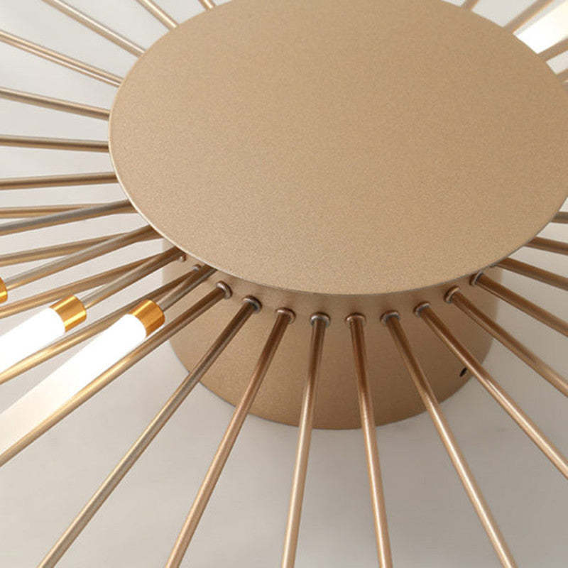 Firework LED ceiling light