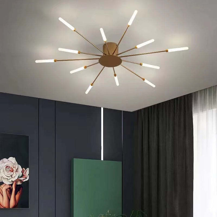 Firework LED ceiling light