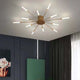 Firework LED ceiling light