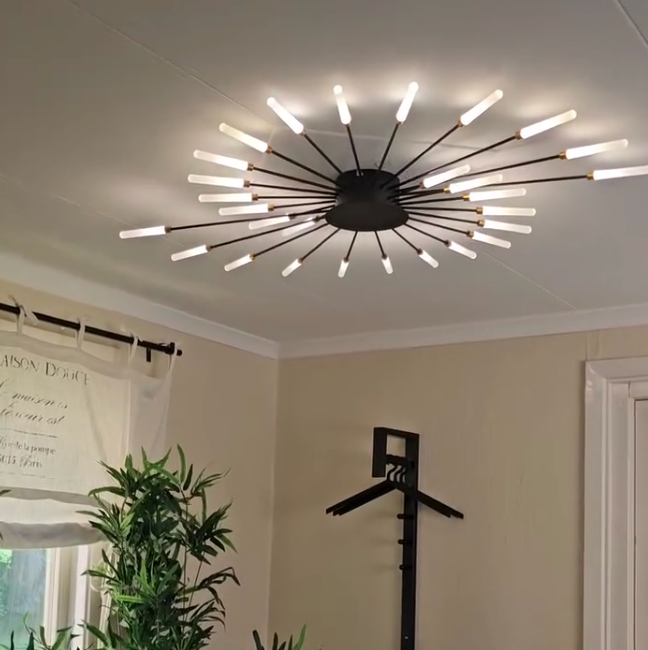 Firework LED ceiling light