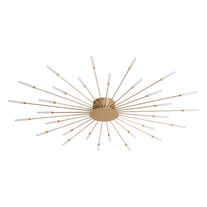 Firework LED ceiling light
