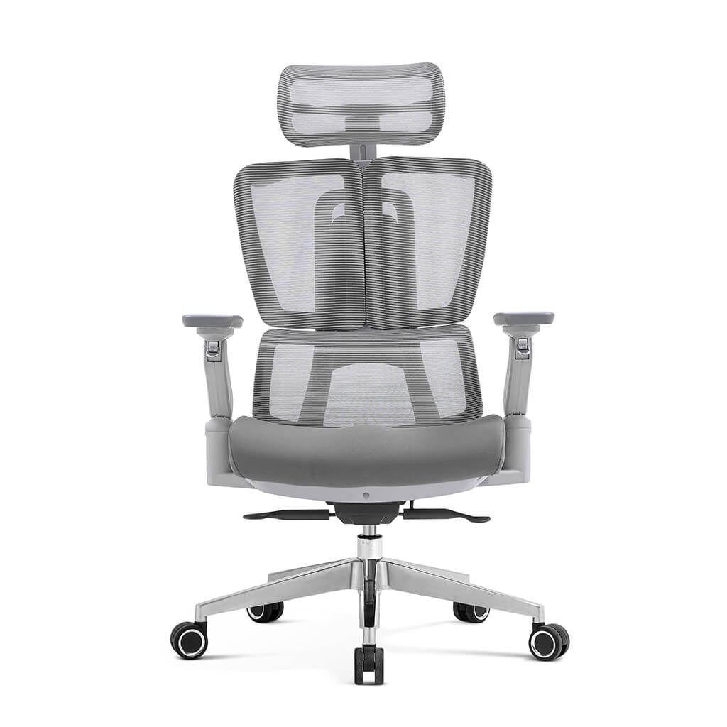 Halden Elite Mesh Office Chair