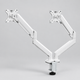 Dual Monitor Arm