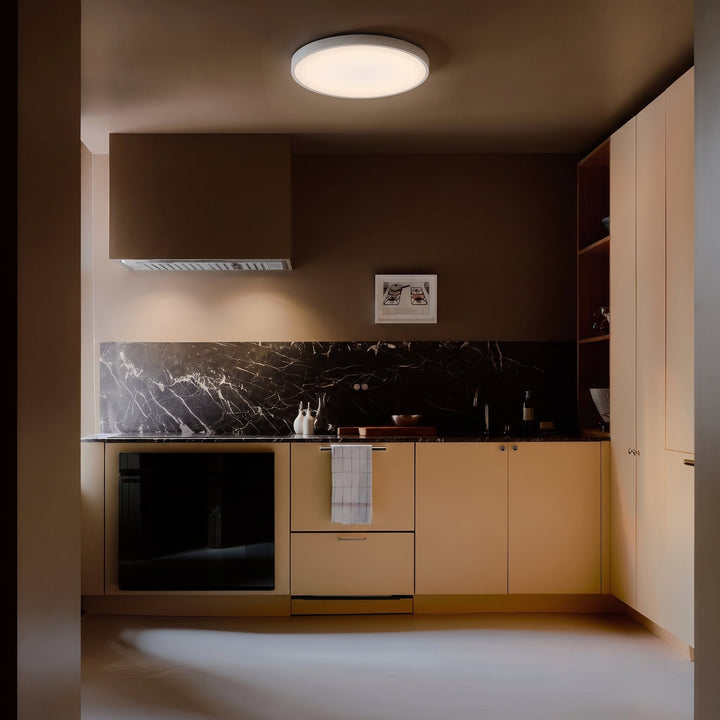 Ultra Thin Ceiling Light, view 4