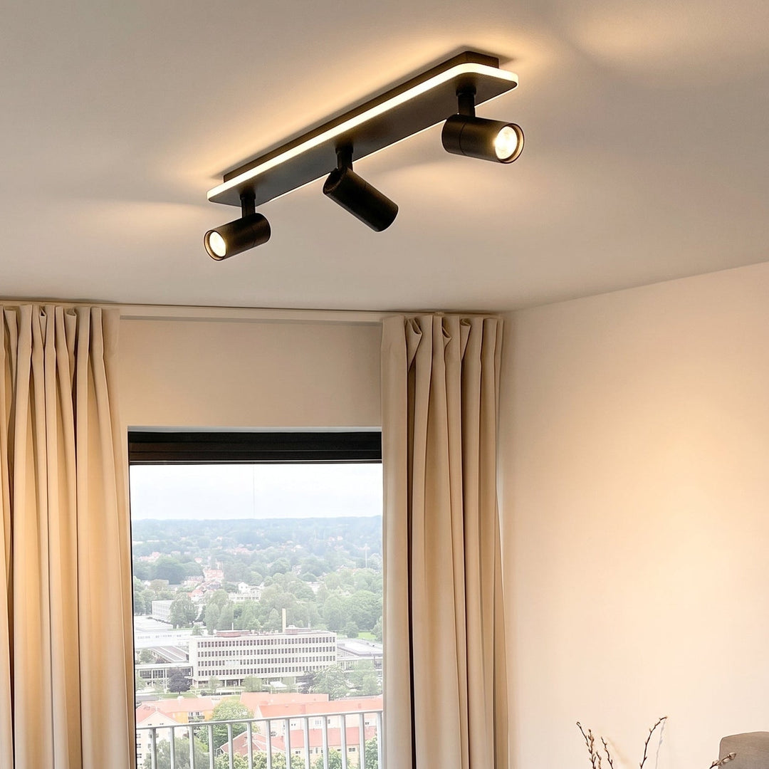 Multiple Spot Ceiling Light