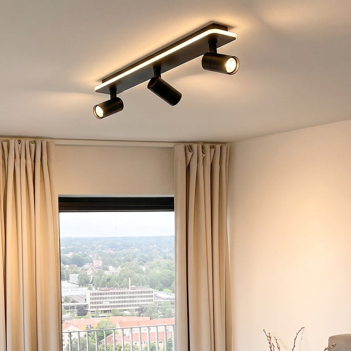 Multiple Spot Ceiling Light
