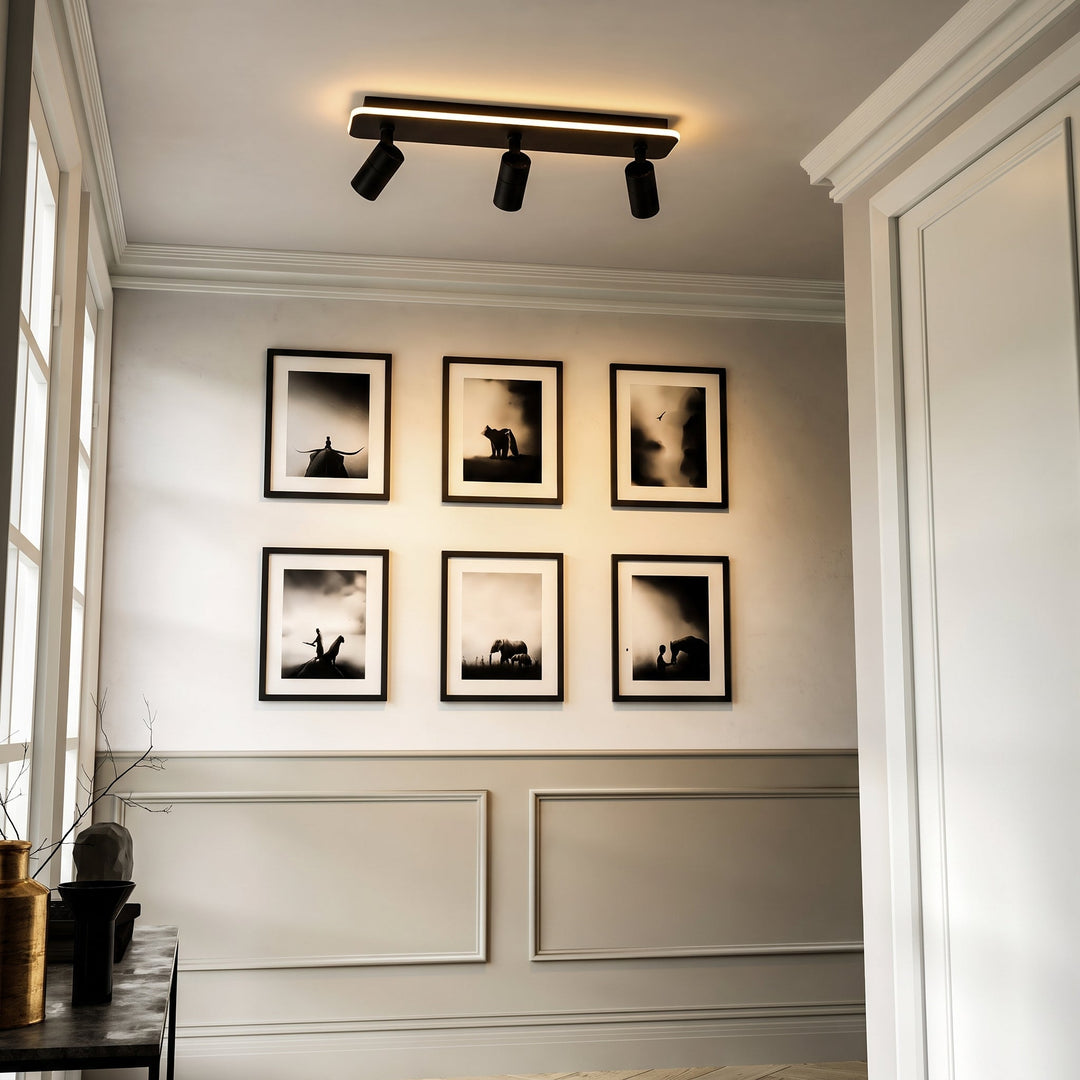 Multiple Spot Ceiling Light