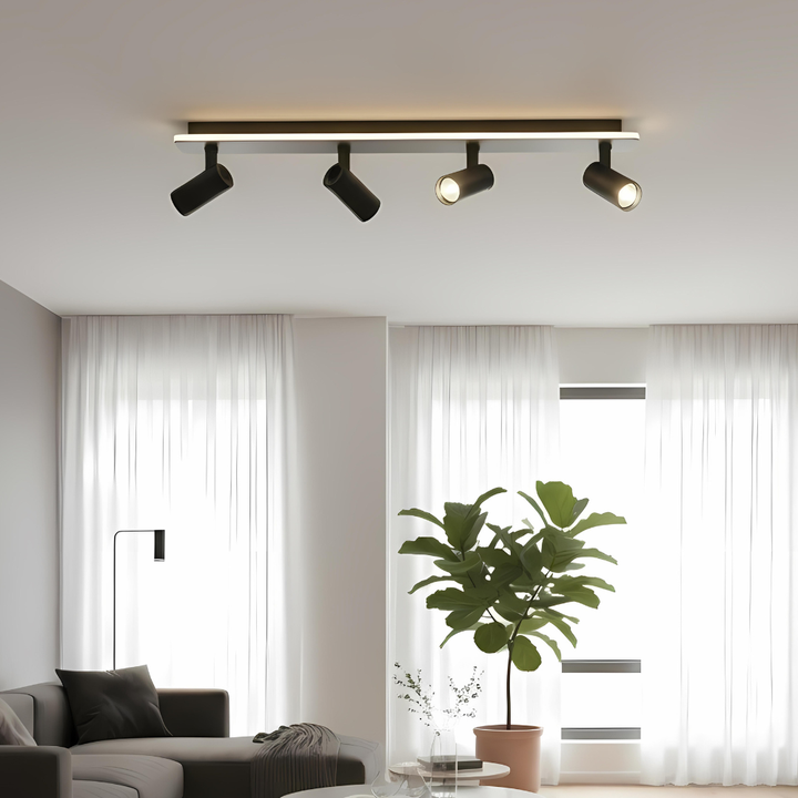Multiple Spot Ceiling Light