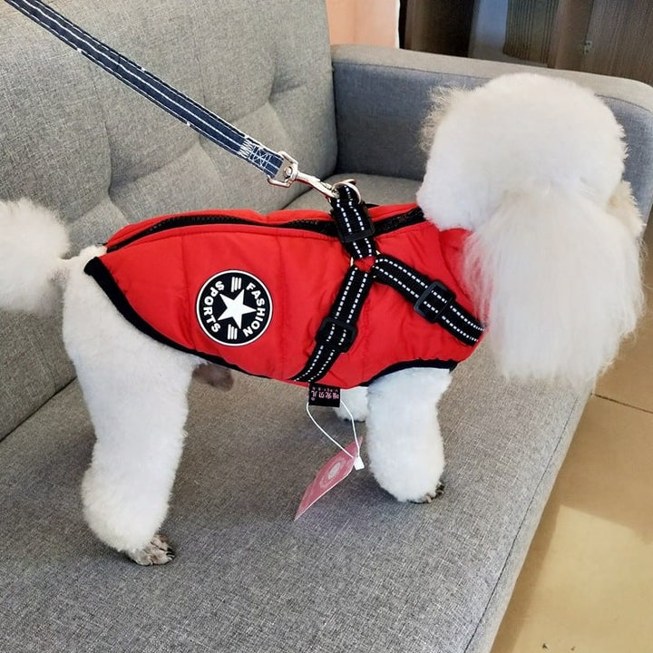 Padded dog coat with built-in harness
