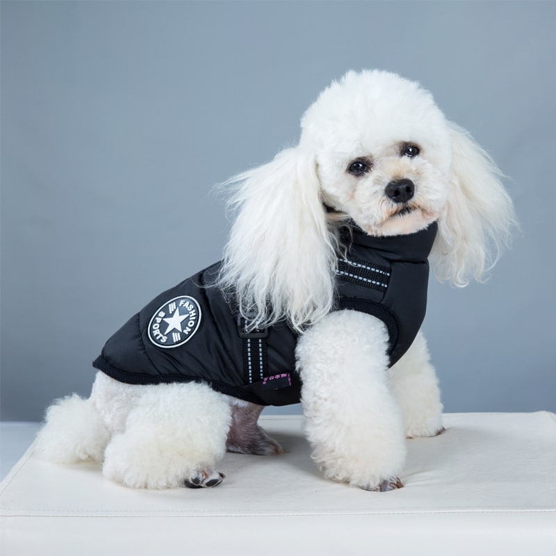 Padded dog coat with built-in harness