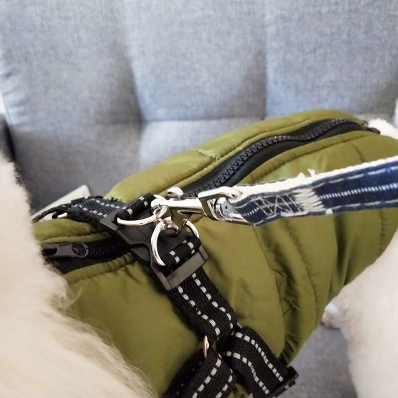 Padded dog coat with built-in harness