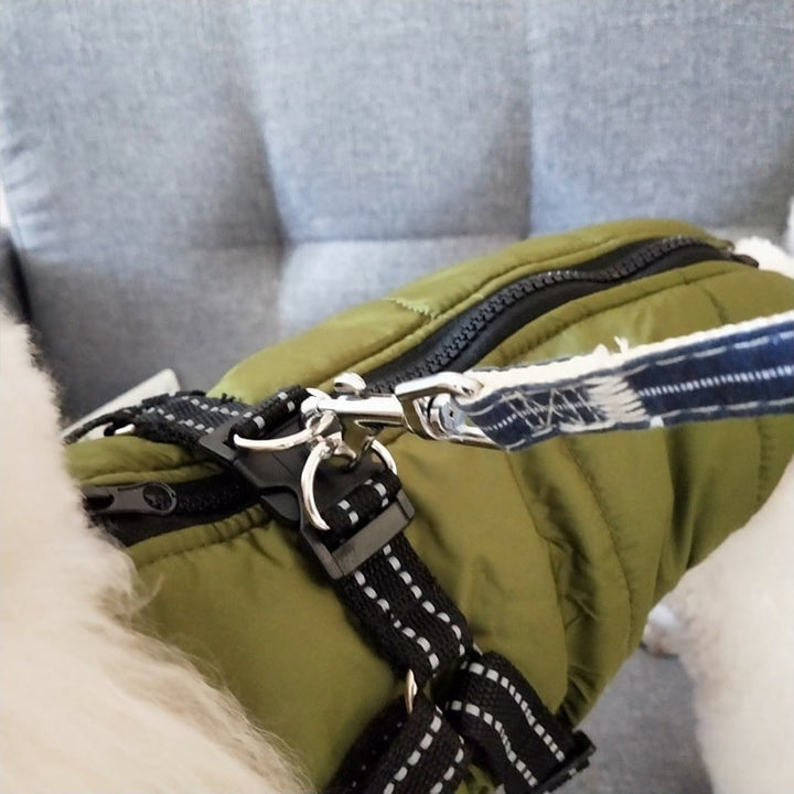 Padded dog coat with built-in harness