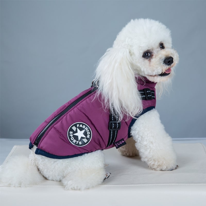 Padded dog coat with built-in harness