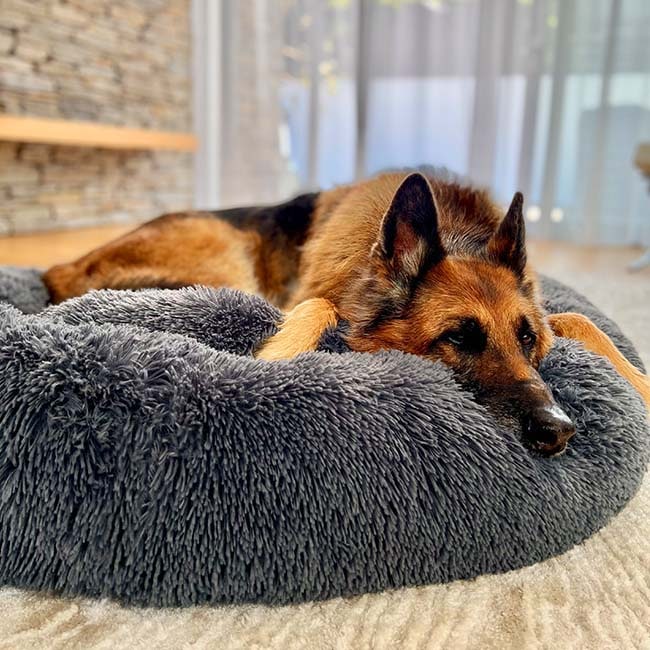 Plush round donut dog bed