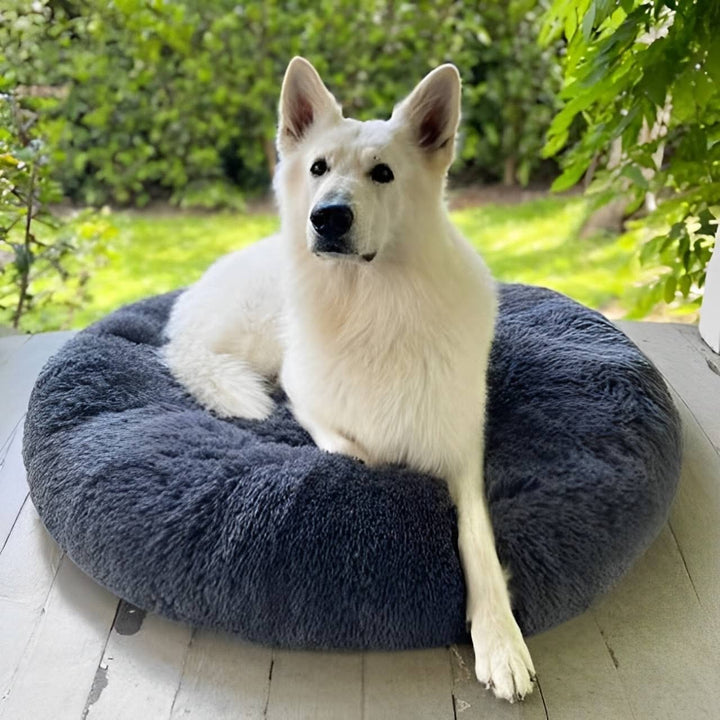 Plush round donut dog bed