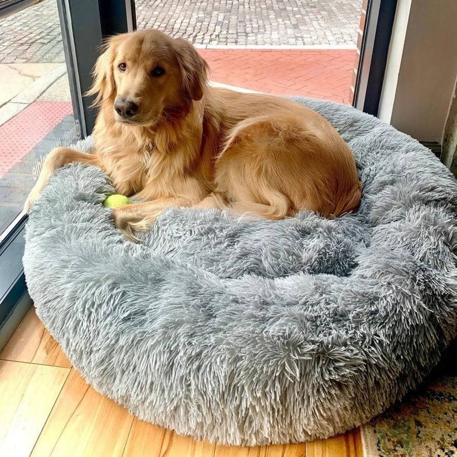 Plush round donut dog bed