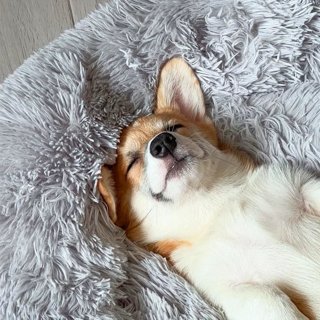 Plush round donut dog bed