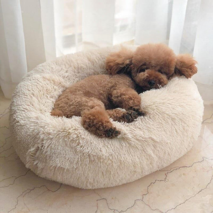 Plush round donut dog bed