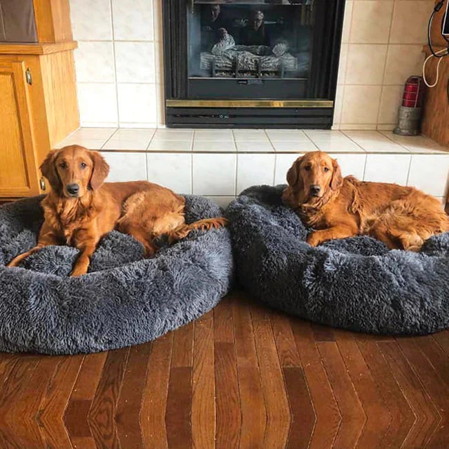 Plush round donut dog bed