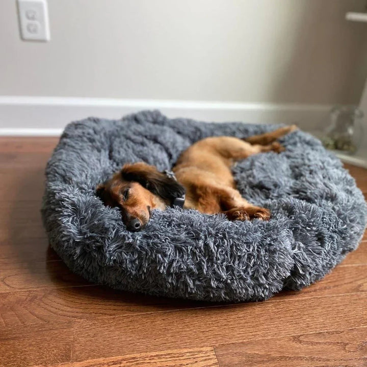 Plush round donut dog bed