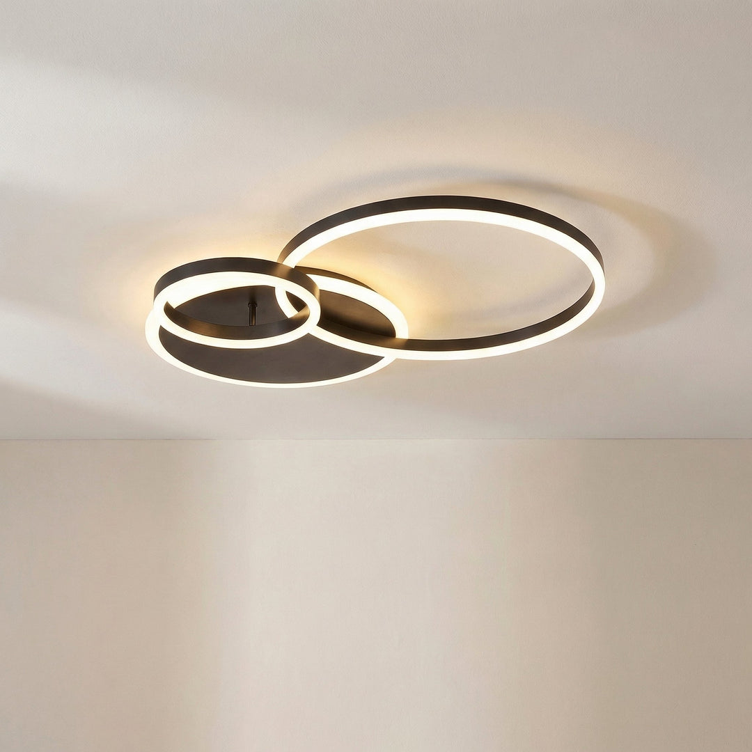 Randale's Ceiling Light