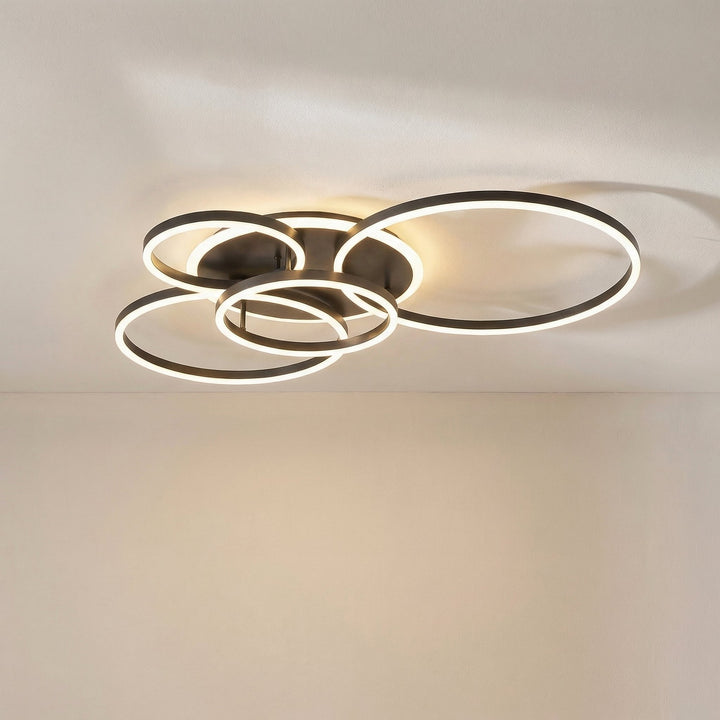 Randale's Ceiling Light