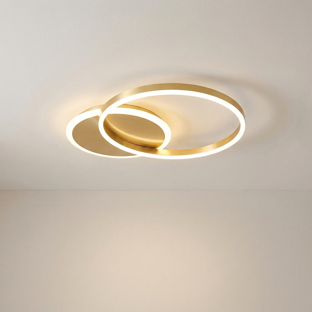 Randale's Ceiling Light