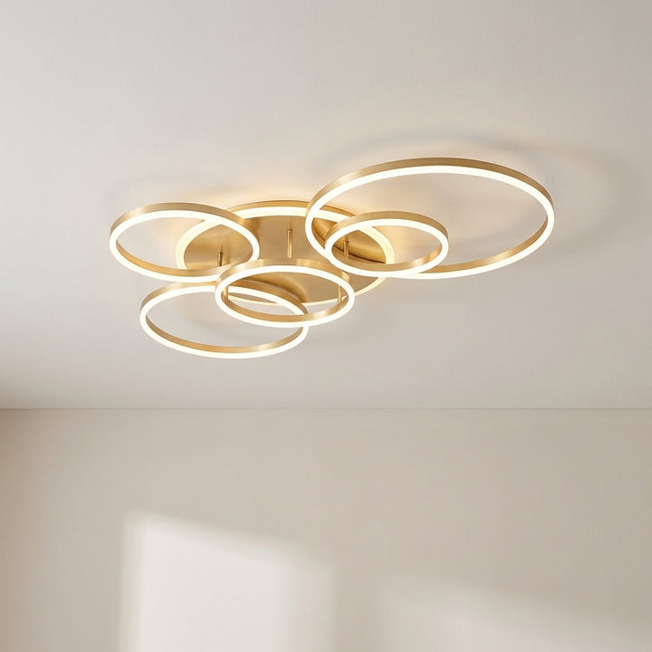 Randale's Ceiling Light