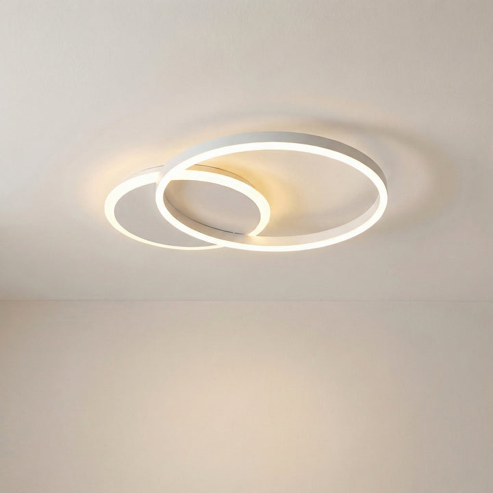 Randale's Ceiling Light