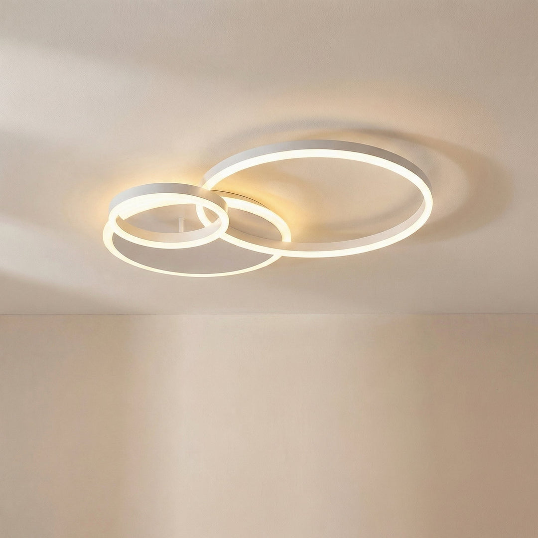 Randale's Ceiling Light