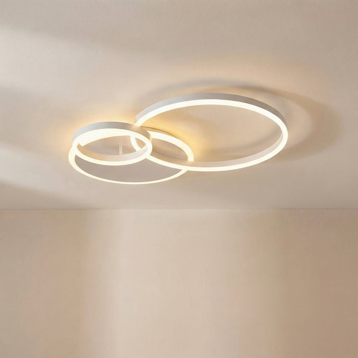 Randale's Ceiling Light