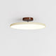 Tilting disc LED ceiling light