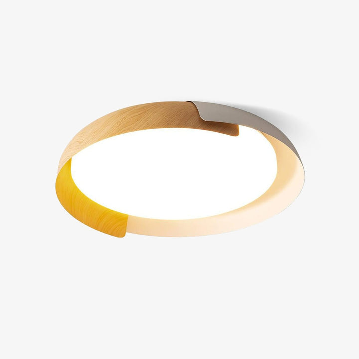 Two-tone LED ceiling light