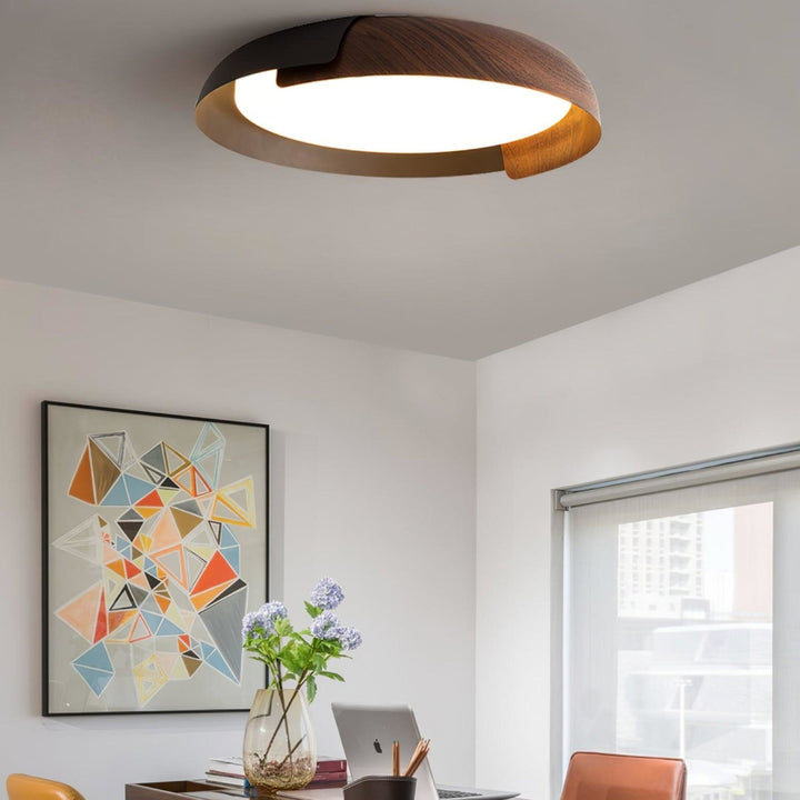 Two-tone LED ceiling light