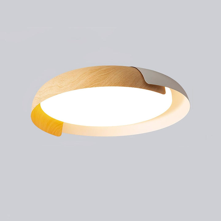 Two-tone LED ceiling light