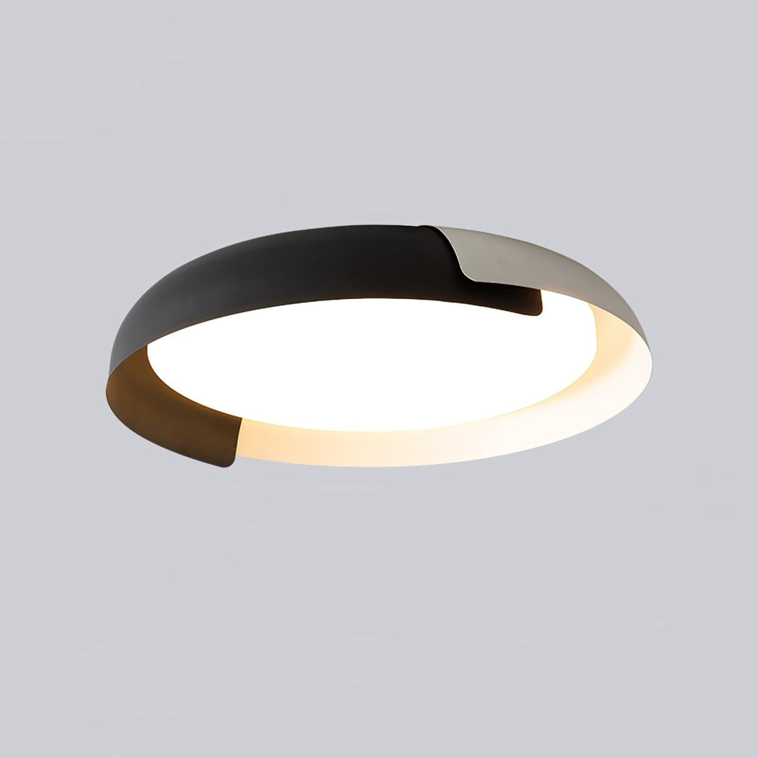 Two-tone LED ceiling light