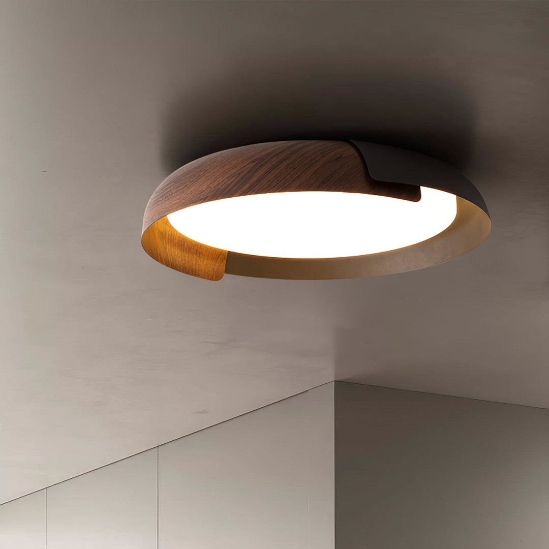Two-tone LED ceiling light