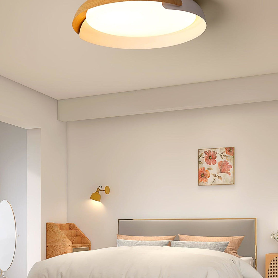 Two-tone LED ceiling light