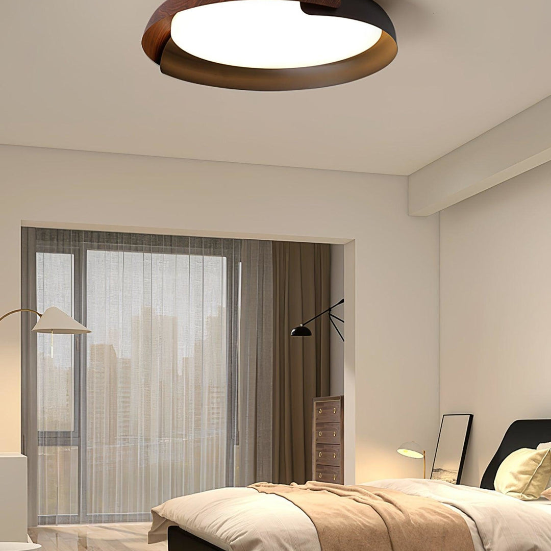 Two-tone LED ceiling light