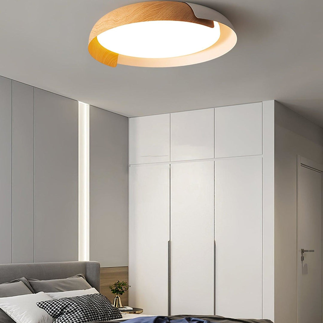 Two-tone LED ceiling light