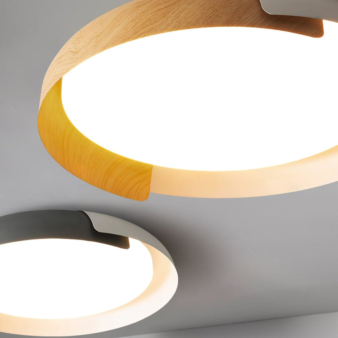 Two-tone LED ceiling light